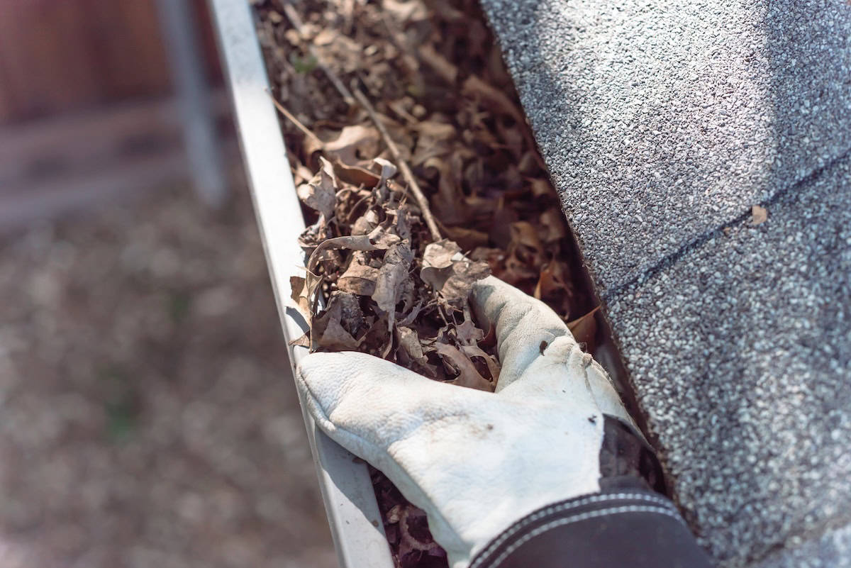 Top view man hand in gloves cleaning house gutter from leaves and dirt