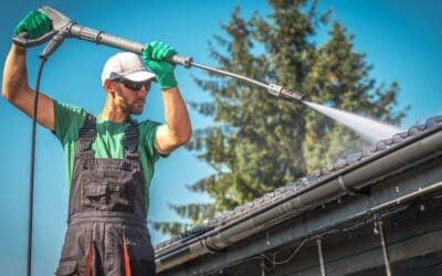 Best Roof Cleaning Products for Moss, Algae & Stains