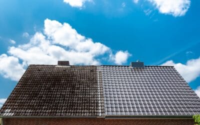 Roof Cleaning Cost Guide: What to Expect in 2025