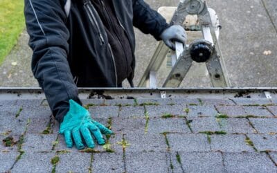 What Is Soft Wash Roof Cleaning? (Homeowners Guide)