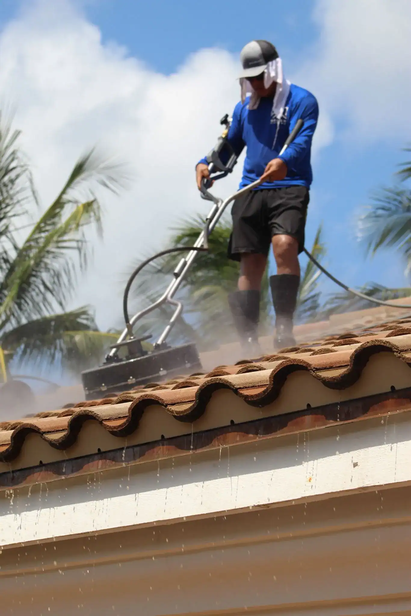 Walsh Roofing Roof Cleaning