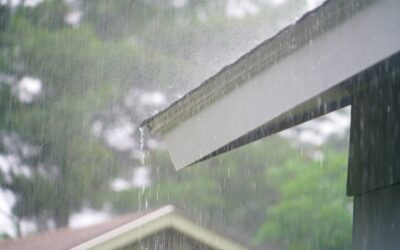 Hurricane Proof Roof Options for Maximum Storm Protection