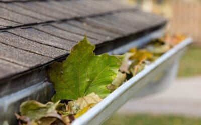 Importance of Gutter Maintenance (Fall Guide 2025)