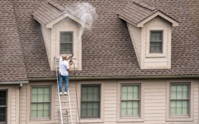 How Much Does Soft Wash Roof Cleaning Cost in 2025?