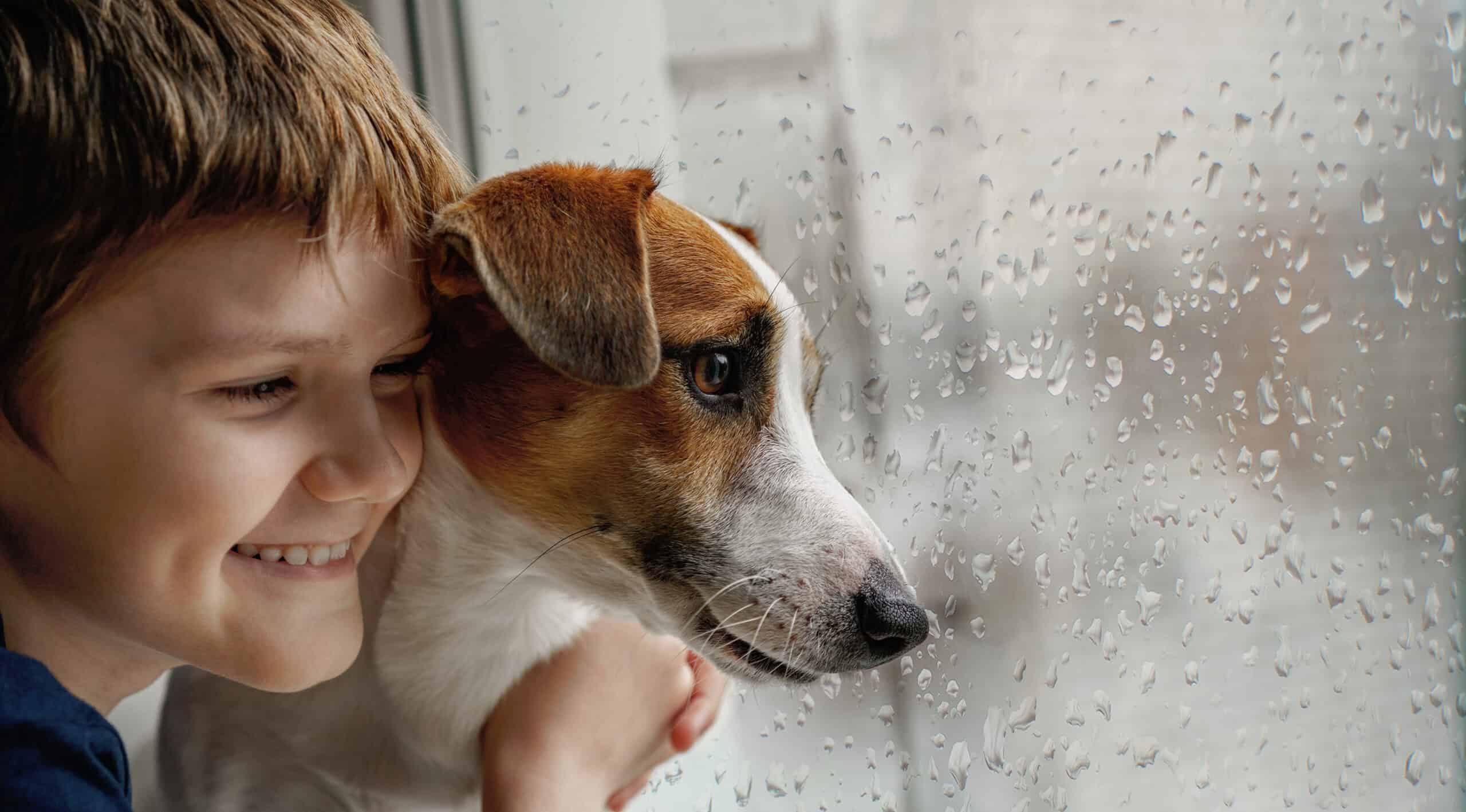 Cute boy embracing the dog on the window.