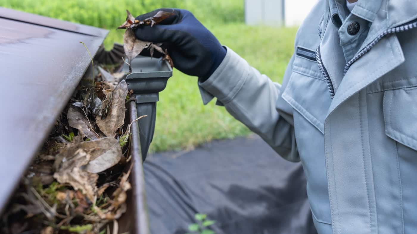 gutter inspection for damage
