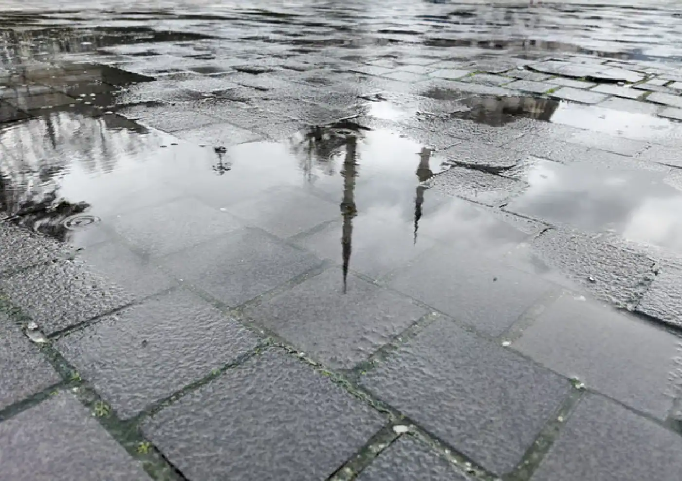 Man inspecting and cleaning dirty moss-covered roof
